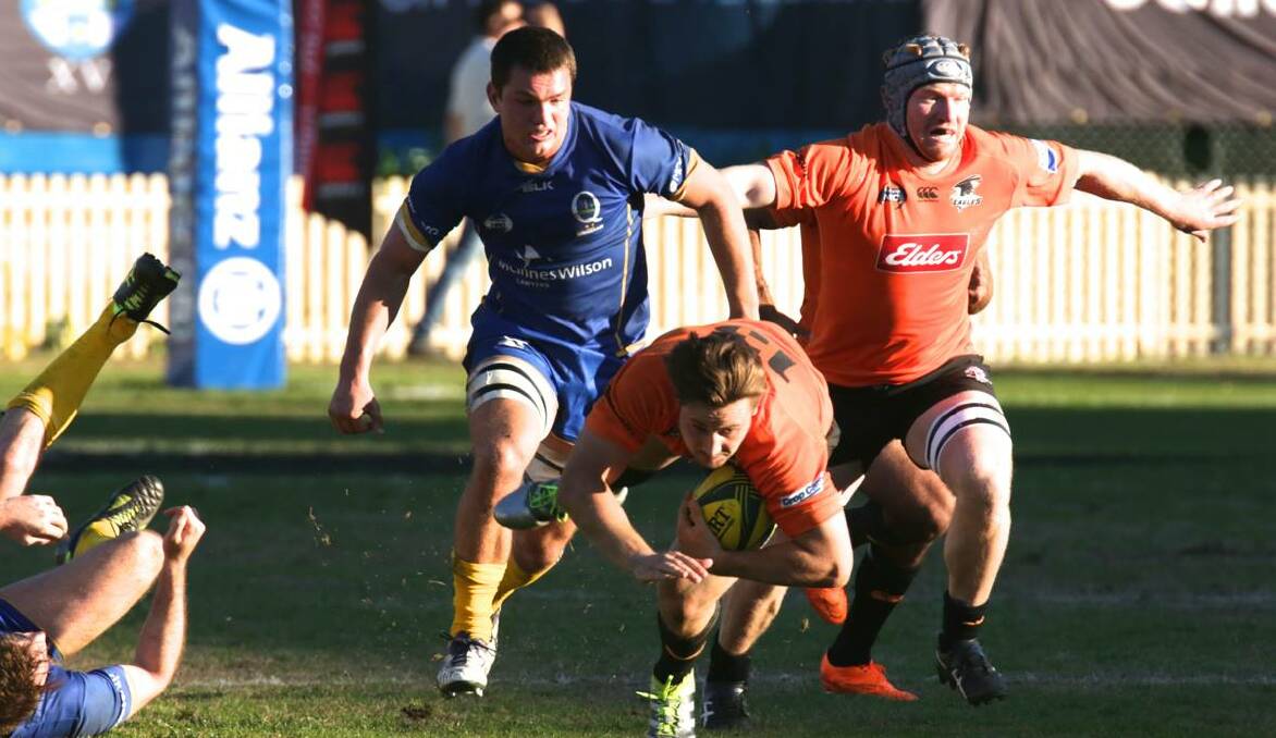 GUNNING FOR A WIN: Brisbane City flanker Michael Gunn bears down on NSW Country centre Dave Horwitz last year. The two sides meet in Orange on Saturday. Photo: AJF PHOTOGRAPHY