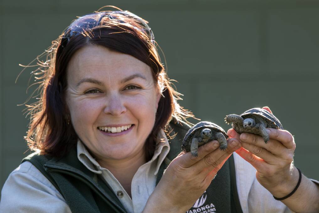 BIG AND SMALL: The zoo's team of keepers watch over the tiniest of creatures to the grandest of creatures.
