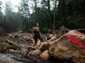 Caileigh Toupin surveys the debris from landslides at Huonbrook and Willson's Creek in the NSW Northern Rivers. Picture: Marina Neil