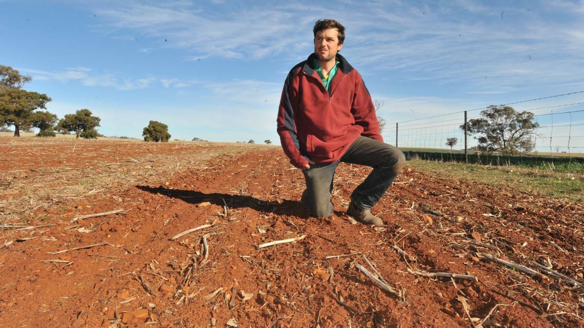 MORE DUST IN WOOL: Orange-based farmer Floyd Legge says the recent thunderstorms and rainfall have not helped much in improving overall drought conditions. Photo: FILE