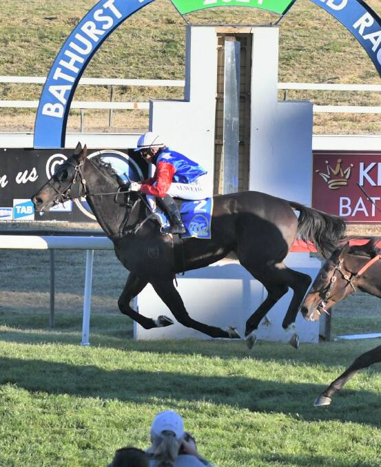 WHO WILL BE NEXT: Zouologist wins last year's Bathurst RSL Club Soldier's Saddle after finishing runner-up the year before. Photo: CHRIS SEABROOK