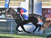 WHO WILL BE NEXT: Zouologist wins last year's Bathurst RSL Club Soldier's Saddle after finishing runner-up the year before. Photo: CHRIS SEABROOK