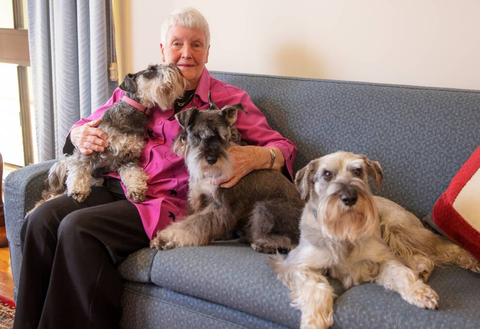 Kath McQuarrie at home with Rocky, Hope, Ash and Boadie. Picture: Sitthixay Ditthavong