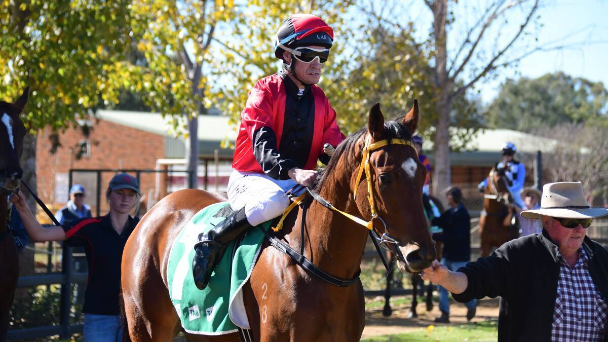 IN THE SADDLE: Experienced jockey Andrew Banks is set to have a full book of races at Dubbo's Melbourne Cup meeting on Tuesday. Picture: Amy McIntyre