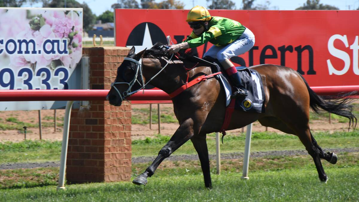GOT IT: Attalea, pictured during a previous win at Dubbo, was back at the track on Friday. Photo: BELINDA SOOLE