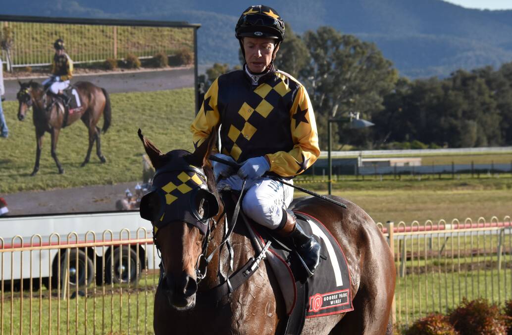 COMING BACK: Hirokin has tasted feature success at Mudgee and is in the running for Friday's $75,000 cup. Photo: Jay-Anna Mobbs