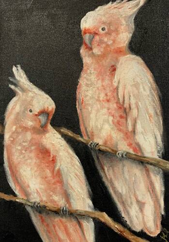 Beautiful painting of cockatoos by Jenny Stonestreet, an artist member of the Bathurst Arts Trail.