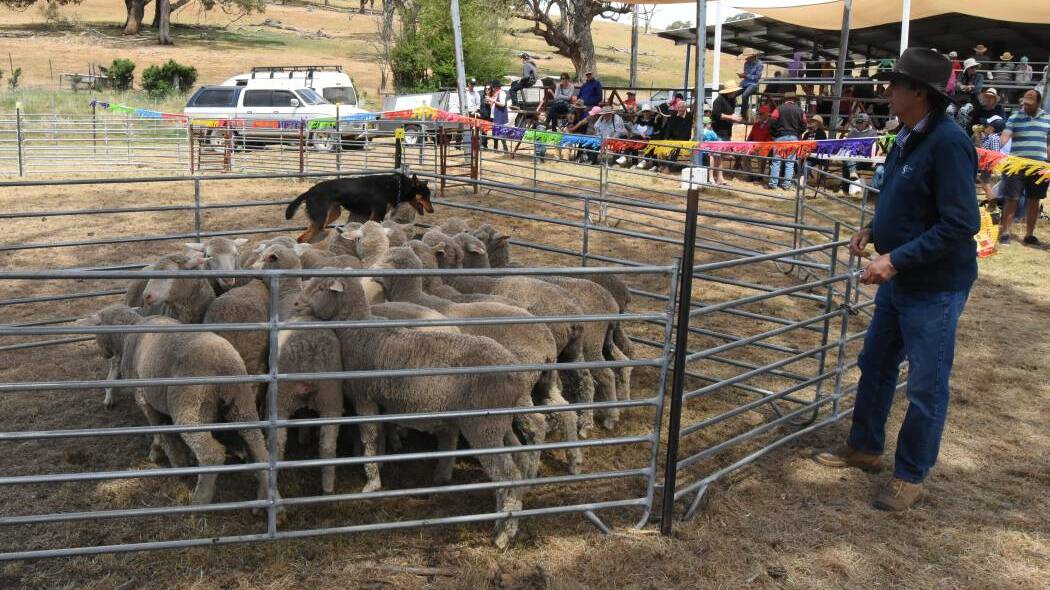 See displays of what life on the land is all about at the Carcoar Show. File picture