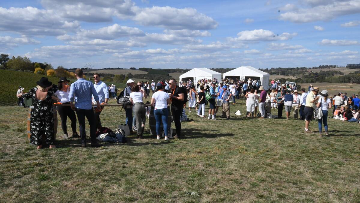 FOOD WEEK: Forage is one of the popular FOOD Week events that sells out quickly every year. Photo: JUDE KEOGH