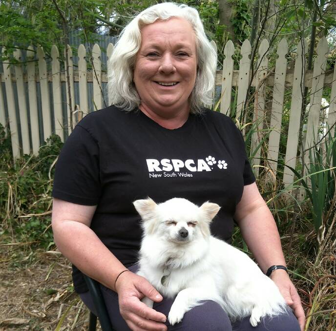 RSPCA: Mudgee volunteer branch president Adele Lindley with Princess the 10 year old Chihuahua. Photo: supplied.
