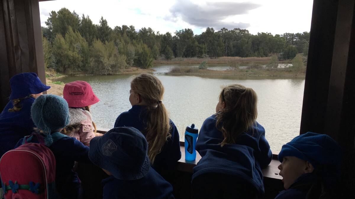 Students having a 'birds eye view' from the bird watching hut.