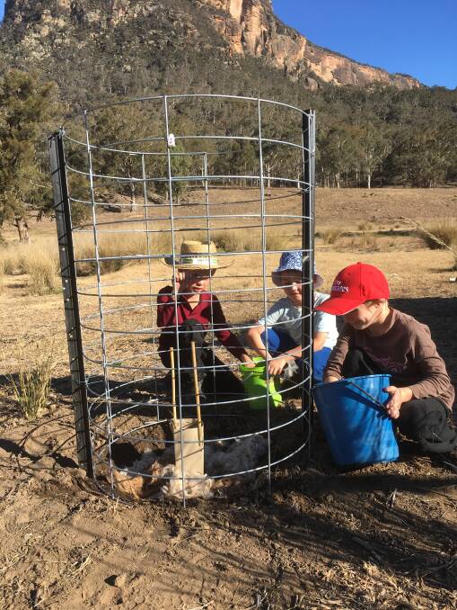 Students not only learned about threatened species and their needs, but developed practical skills of planting, watering and mulching trees.