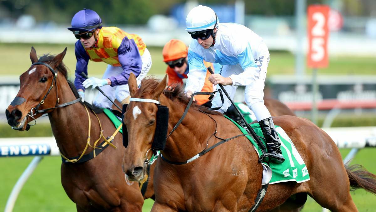 ACCEPTED: The Gayna Williams trained Galaxy Warrior (blue sleeves and cap) is among the local runners at Saturday's Anniversary Highway (1400m) at Randwick.