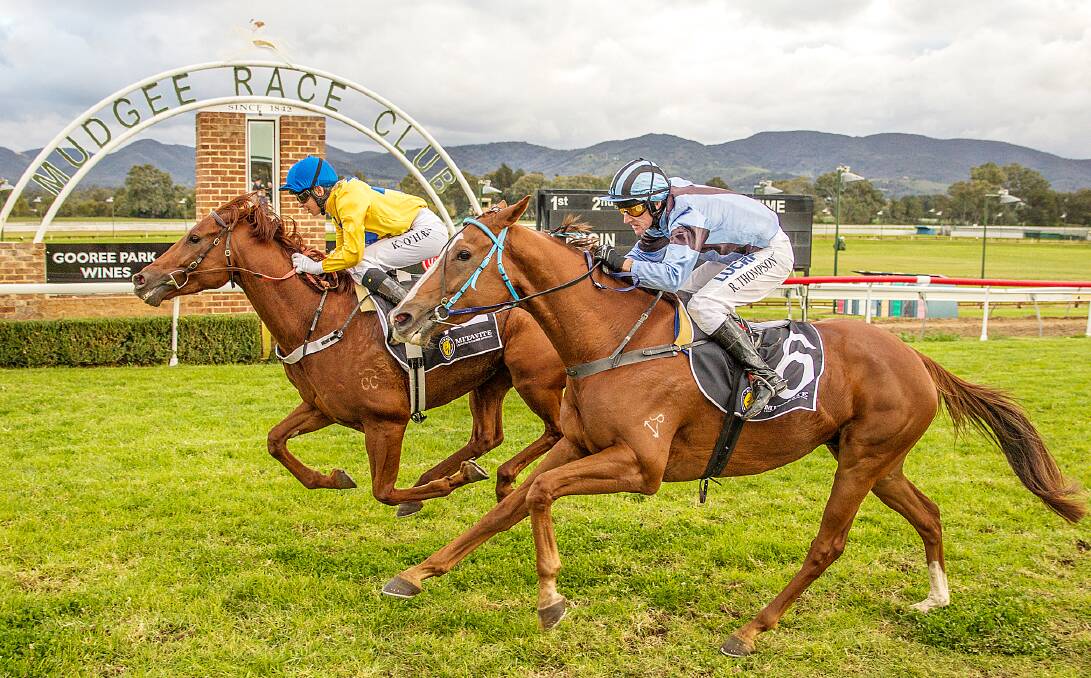 LOCAL LADS: Strong Boy and Are You Sure - pictured racing in 2014 - are the local runners in the Robert Oatley Vineyards Mudgee Cup Showcase. Photo: Janian McMillan (www.racingphotography.com.au).