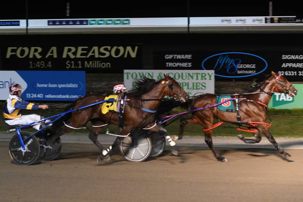 A GOLDEN MOMENT: Bernie Hewitt drives College Chapel to victory in the Gold Crown  final. The colt clocked a two-year-old record. Photo: CHRIS SEABROOK
