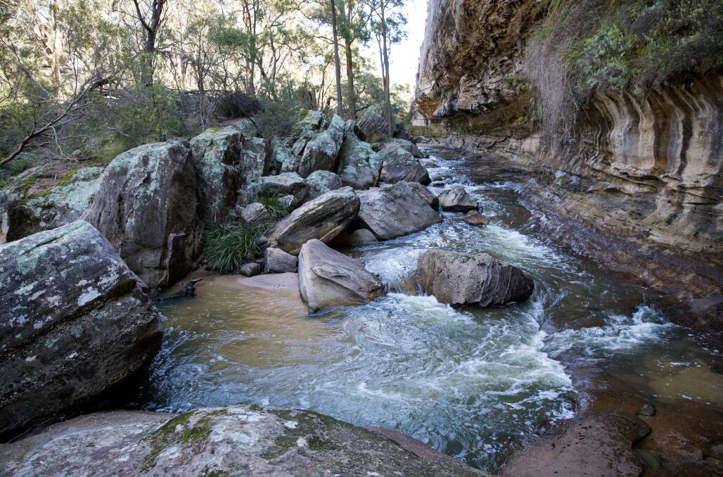 The Drip Gorge is one of the focuses of the study, photo by Simone Kurtz.