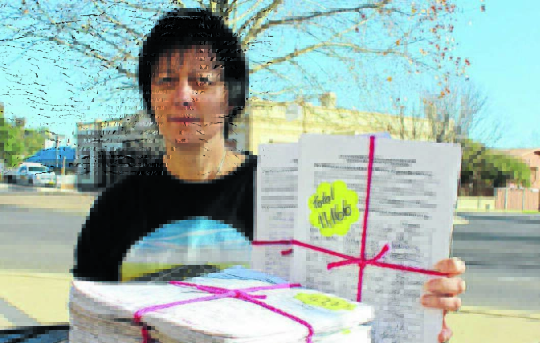 Colleen Holland's petition, signed by more than 11,000 people, was instrumental in achieving funding.