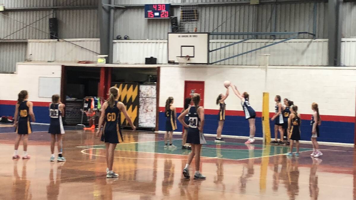 Mudgee Public netball team in NSW top eight