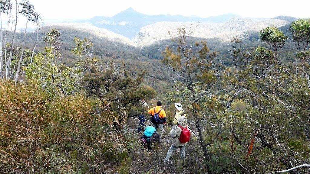The Club have activities plan bushwalks twice a month to socialise and make friends and weekly bike rides in Mudgee and Kandos/Rylstone.