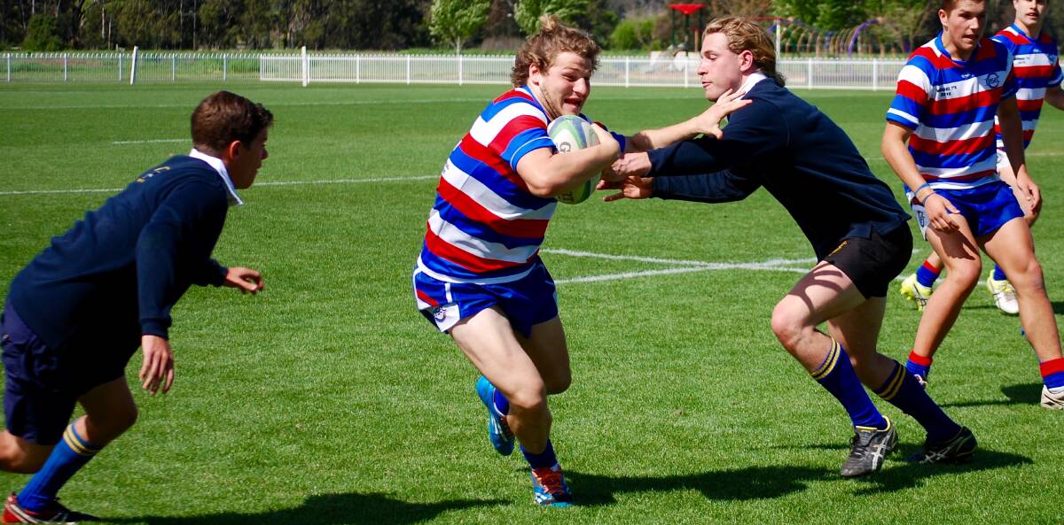 SEVENS SOON: The Bowdens Silver Mudgee Rugby Sevens is Saturday, October 7. Photo: Simone Kurtz.