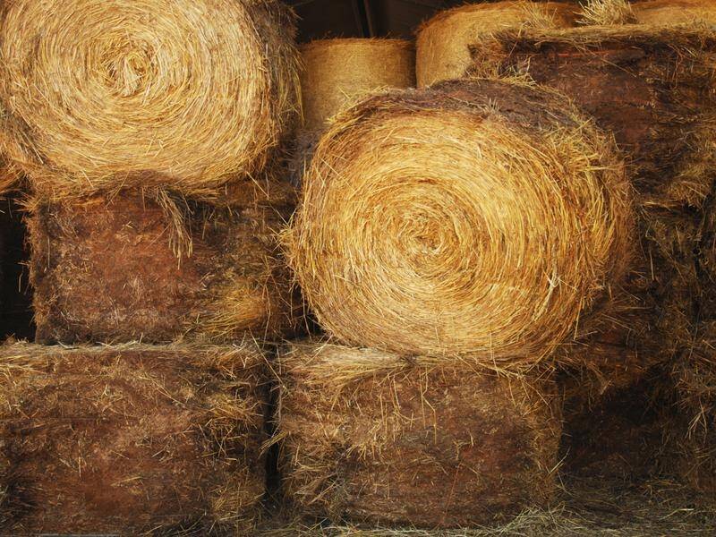 A Sydney man who ripped off drought-ravaged farmers in a hay scam has been told he's going to jail.