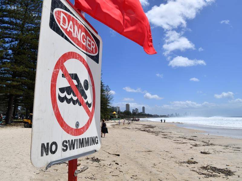There will be shark drones in the air at five Southeast Queensland beaches from this weekend.