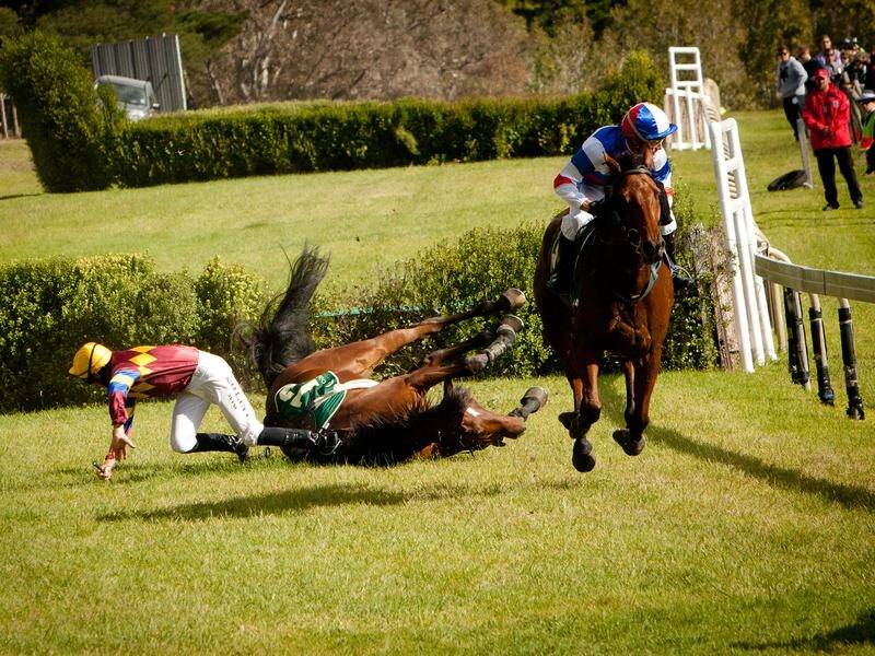 Animal welfare protesters will hold rallies against jumps racing at the Oakbank Steeplechase.