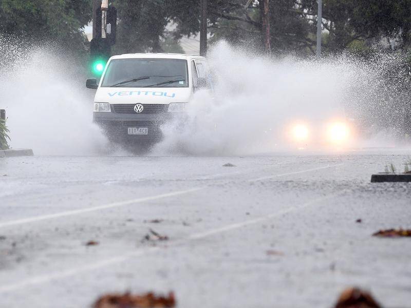 Heavy rain is expected to ease bushfire conditions in large parts of Victoria.