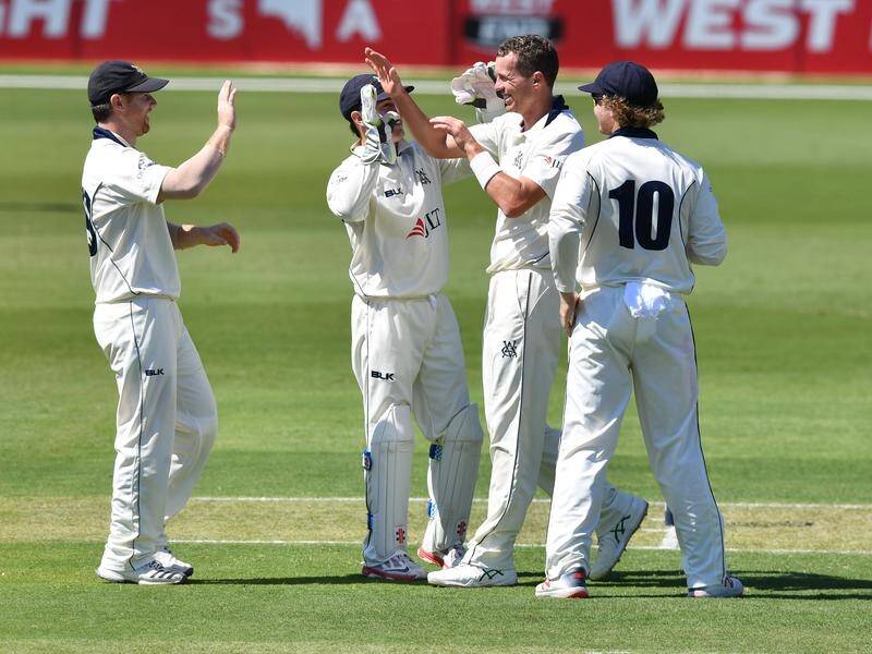 Victoria's Peter Siddle celebrates with teammates after another wicket against South Australia.