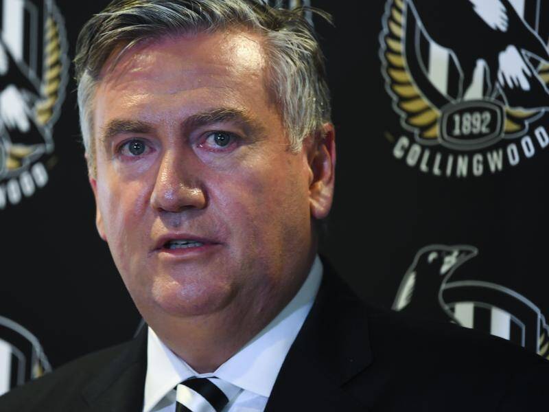 Former Collingwood president Eddie McGuire says squabbles at board level are hurting the club.