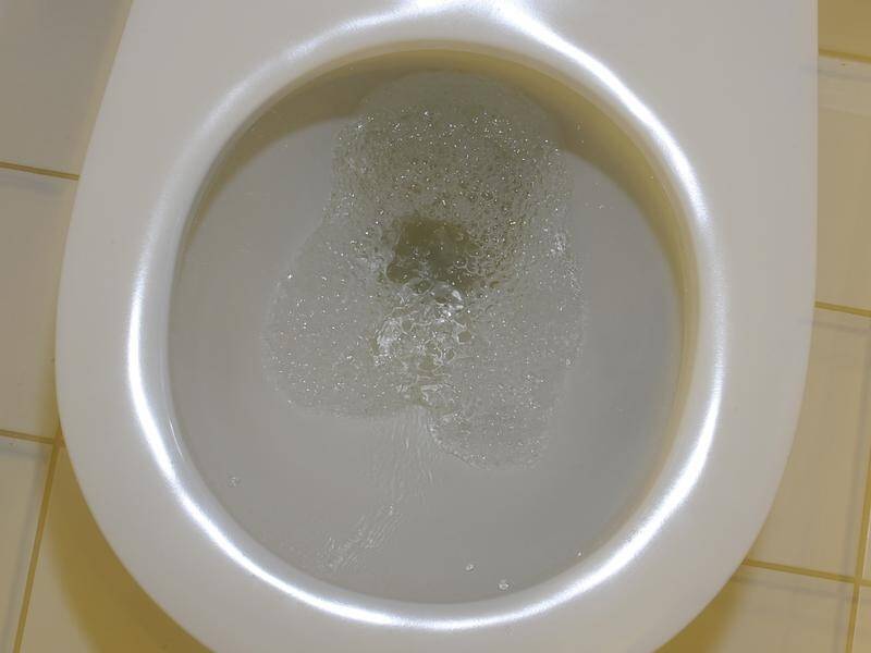 A judge wasn't persuaded the ACCC's evidence showed moist wipes were unsuitable for flushing.