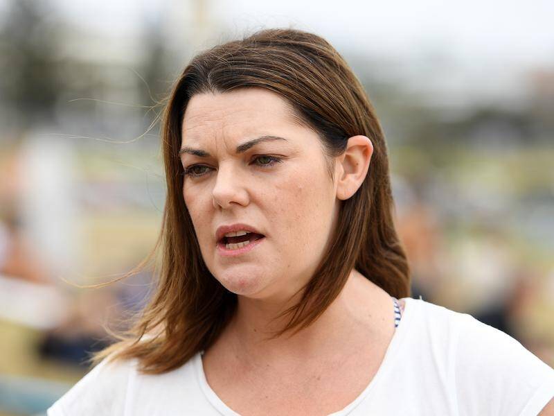 Greens senator Sarah Hanson-Young says public broadcasters should have been included in the code.