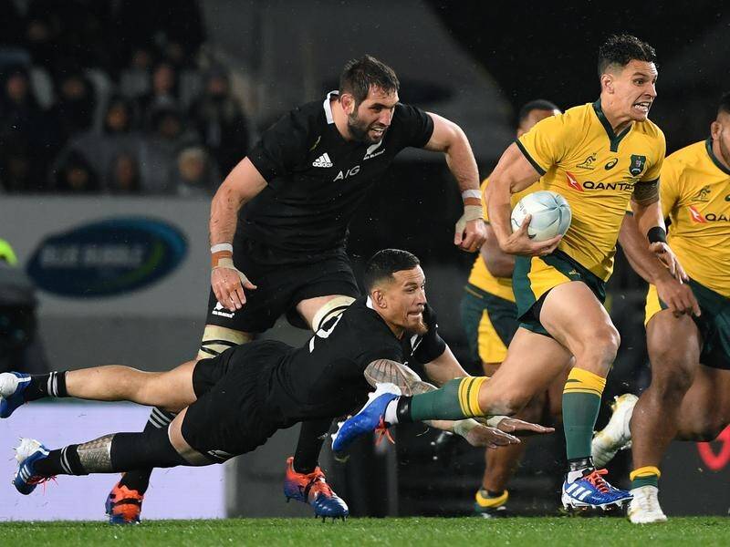 The Rugby Championship could return from November 7 in New Zealand.