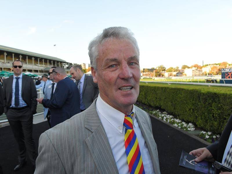 Trainer Greg Hickman will delay a decision on Pierata running in The Shorts as long as possible.