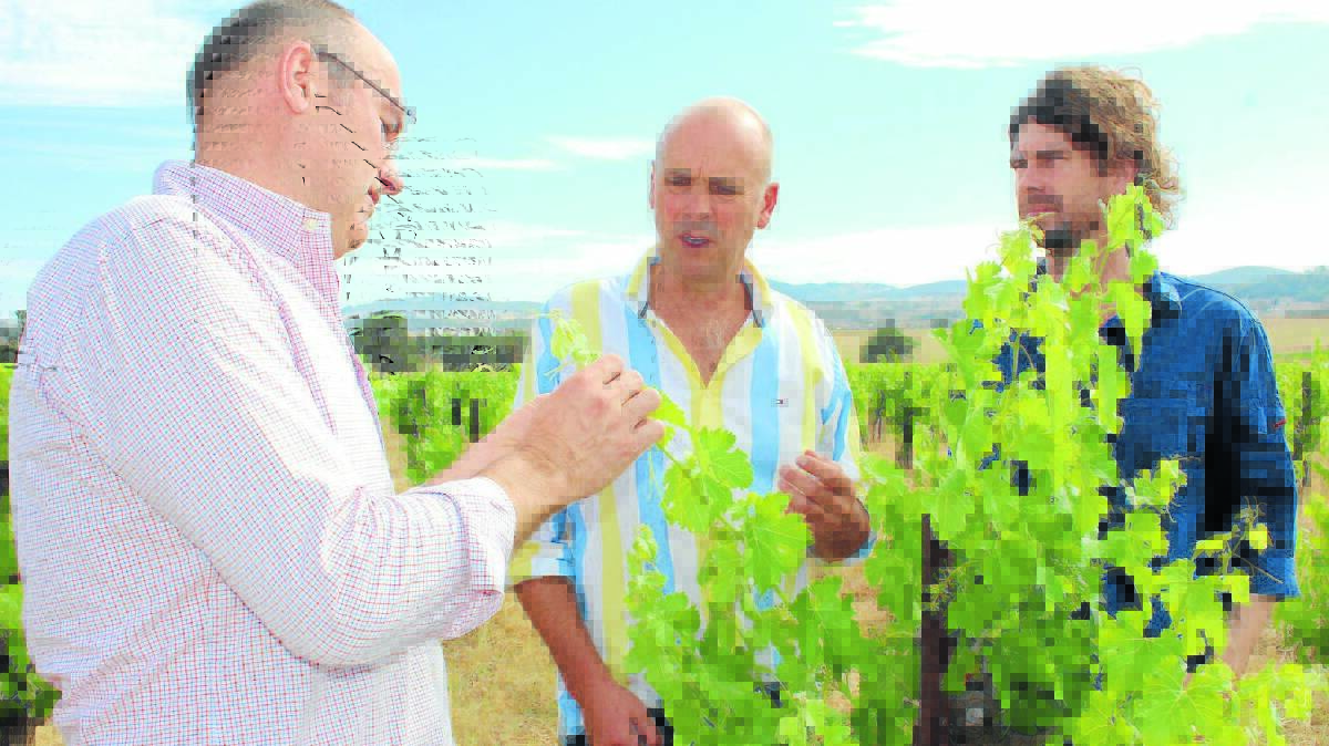 David Lowe, Professor Vladimir Jiranek and winemaker Liam Heslop discuss the University of Adelaide’s research into low alcohol wines.