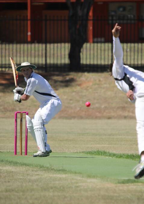 PRETTY IN PINK: Dave Lane faced down Greg Reid on the double-header weekend, with pink wickets and a pink ball for the McGrath Foundation. Photo: Simone Kurtz.