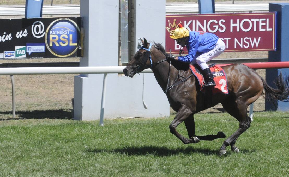 TWO IN A ROW: Many horses raced at Bathurst over the weekend, with Jar of Hearts making it another win, back-to-back. Photo: Chris Seabrook