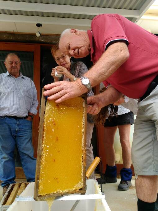 Bruce White showing participants how to use capping knife to extract honey.