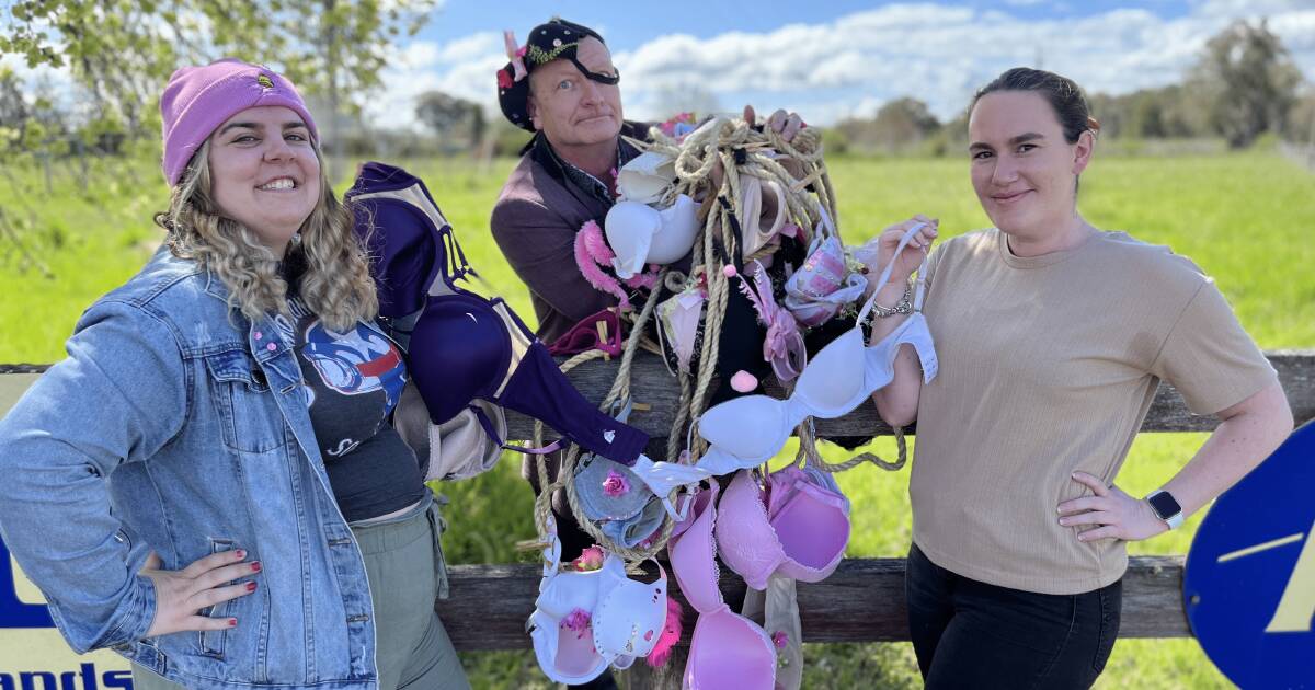 An eye-catching fence full of bras along Gulgong Road will kick off Pink Up  Mudgee in 2022, Mudgee Guardian