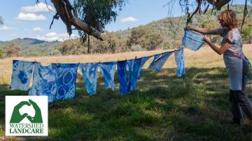 Dr Laura Fisher unravelling the silks to reveal intricate water like patterns after the shibori dyeing workshop at Creek Feast. Supplied