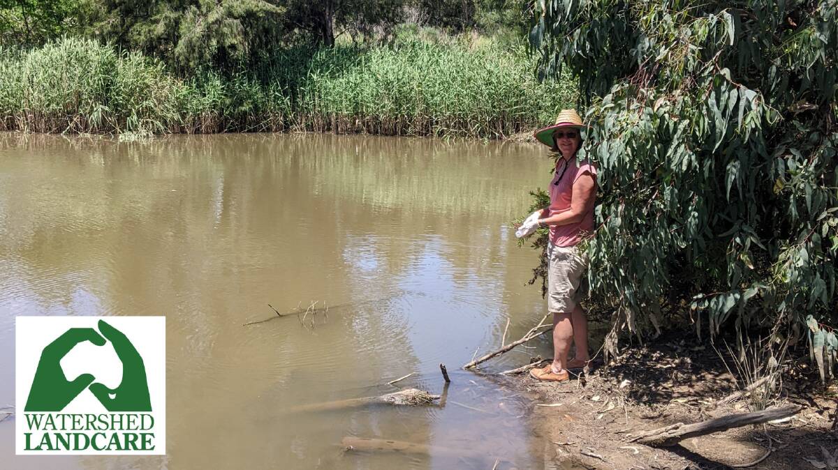 Results from eDNA testing done in local waterways with be revealed at Creek Feast. Here Anne Sedgers collects a sample from the Cudgegong River last October.