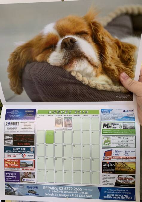The 2019 Mudgee Guardian pet calendar is finally here