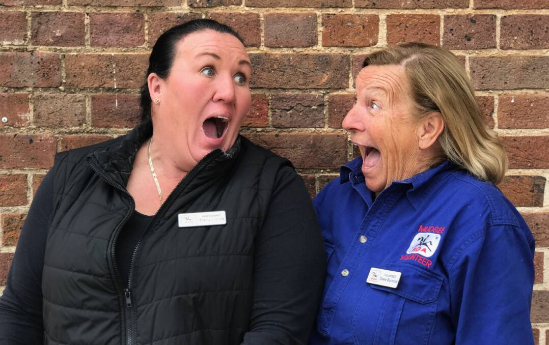 Tracy Lucas and Diane Burnicle of Mudgee Riding for the Disabled are 'absolutely thrilled' with the anonymous donations. Photo: Ben Palmer