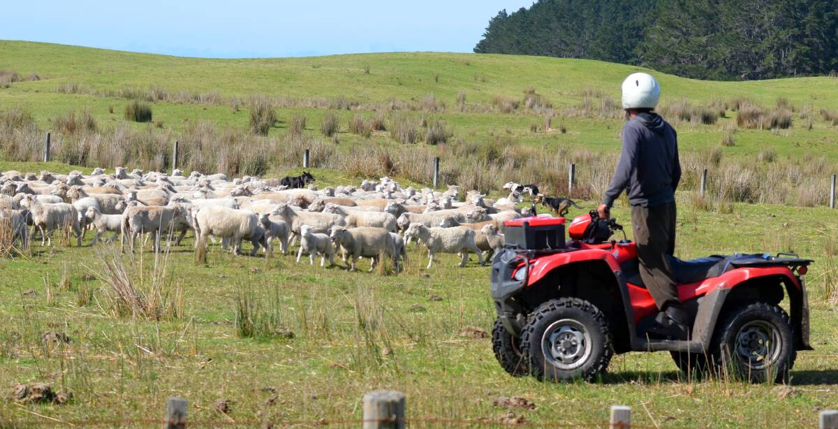 Handy but harmful: Quad bikes are now the leading cause of non-intentional injury death on Australian farms (outranking tractors) and farmers are urged to re-think their use.
