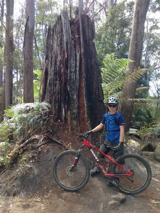 Beyond the black stump: Dust off the family bikes, pump up the tyres and explore the tracks and trails in your part of the world - the benefits are enormous.