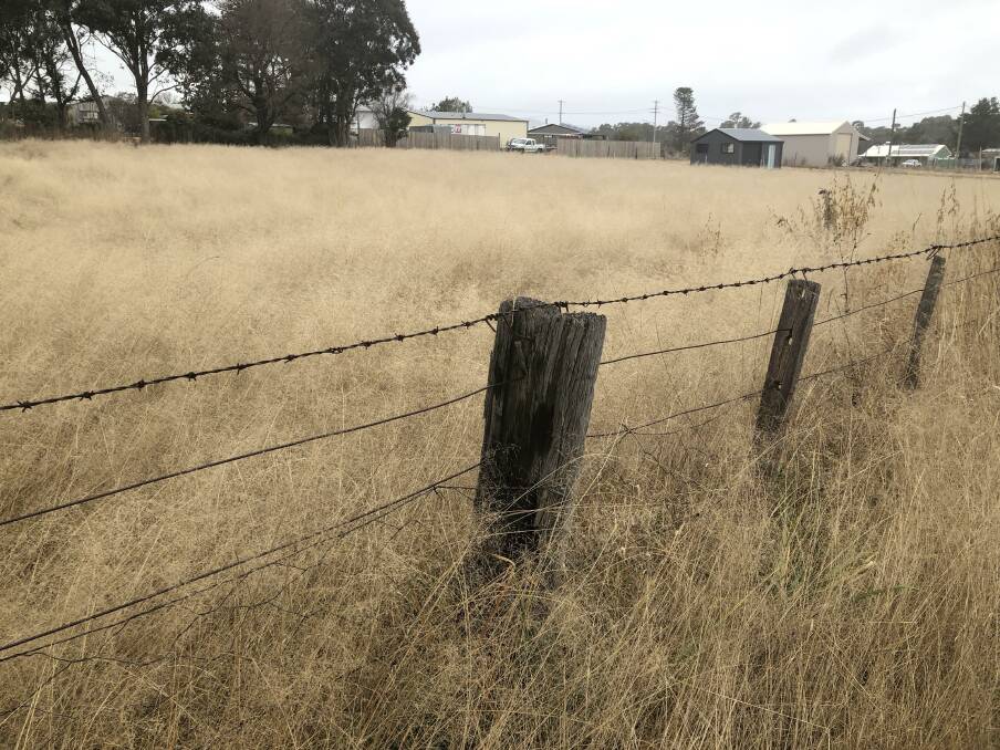 FIRE SAFETY: High grassland fuel loads are a concern for firefighters in the Cudgegong region. This photo shows high grass levels in the Northern Tablelands. Photo: JASON JARRETT