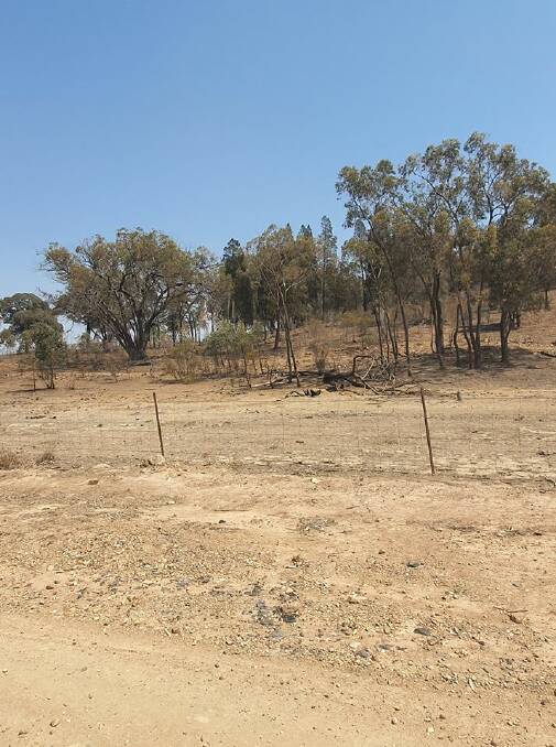 DRY TIMES: Mudgee recorded its third driest year during the past century. Photo: RACHAEL INNES