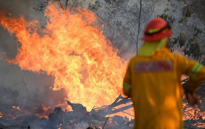 FIRES: Firefighters were protecting properties overnight until rain brings sweet relief to the Kerry Ridge bushfire. Photo: FILE