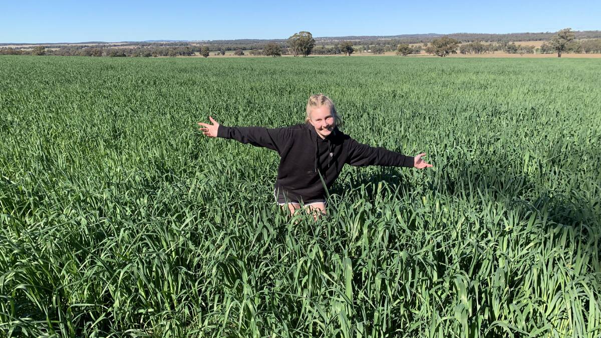 CELEBRATION: Hannah Bush, 13, at her parents beef cattle property near Dubbo. This is the first fodder crop they've had in three years because of the drought. Photo: SUPPLIED
