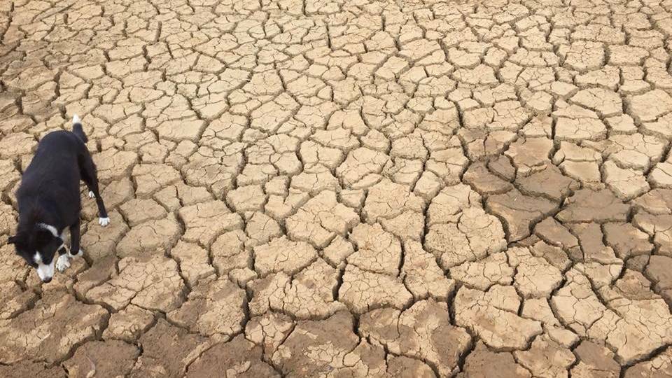 DRY TIMES: The coming months will be drier than average, meteorologists say. Photo: FILE
